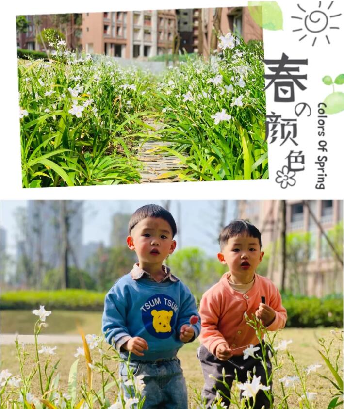 6 6