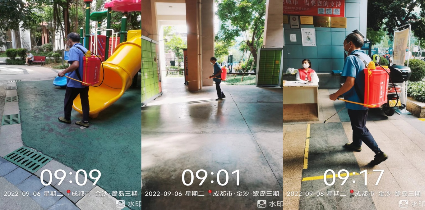 图片6