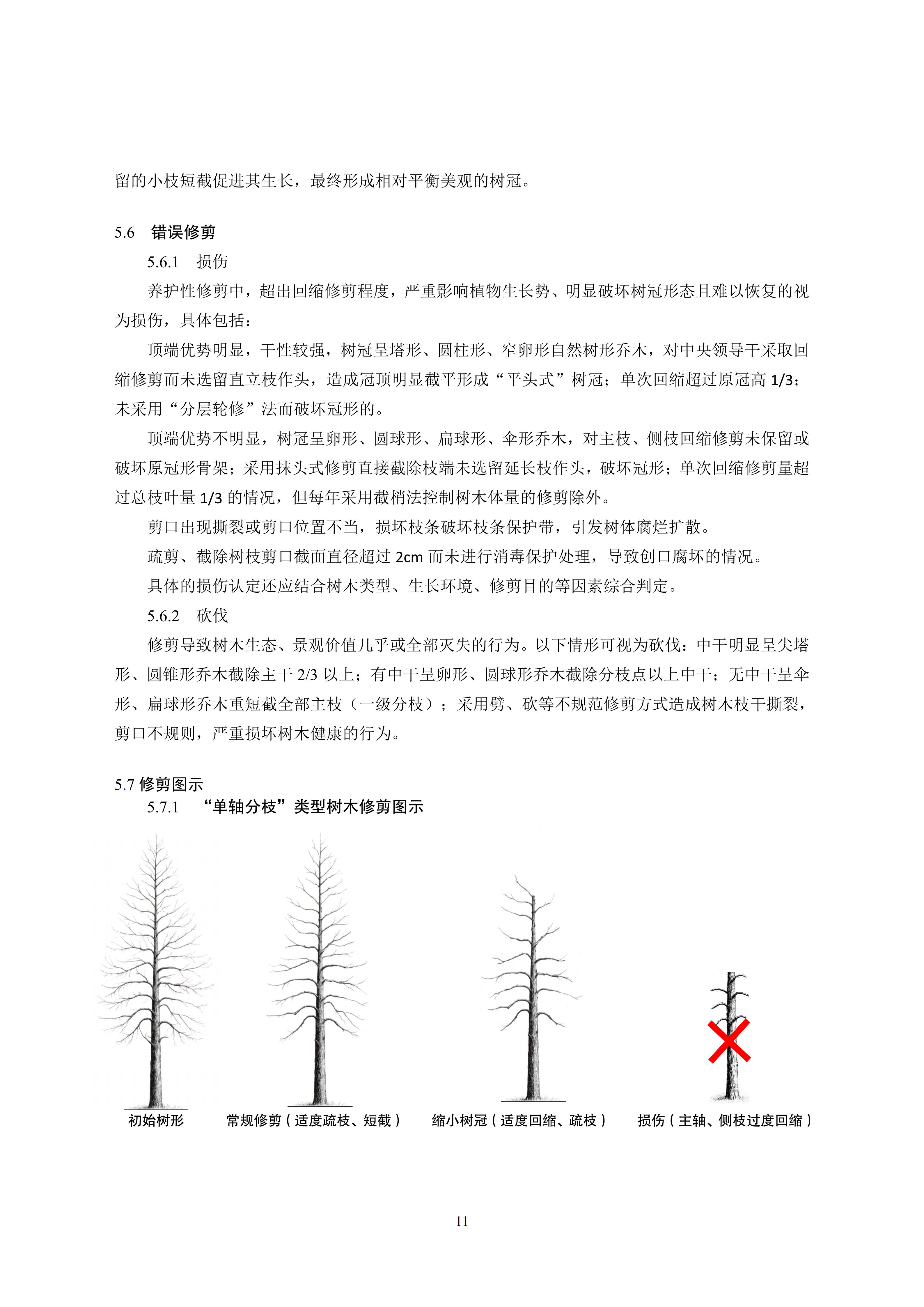 关于印发《成都市绿化乔木修枝技术导则（试行）》的通知（全）_14